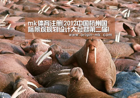 mk体育注册|2012中国杭州国际景观规划设计大会暨第二届IDEA-KING|艾景奖获奖作品展及颁奖论坛(图3) mk体育下载
