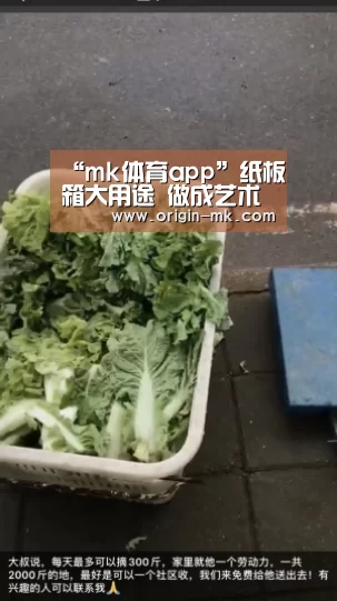 “mk体育app”纸板箱大用途 做成艺术灯具倾倒众生