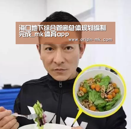 海口地下综合管廊总体规划编制完成_mk体育app(图1) mk体育下载