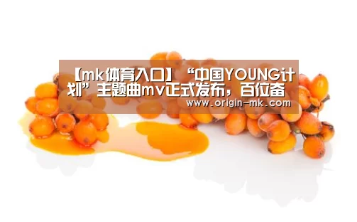 mk体育app